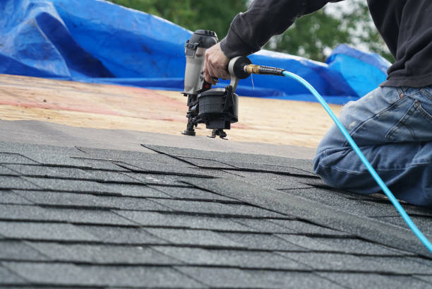 Best Best Roofing Contractors  in Hollister, MO